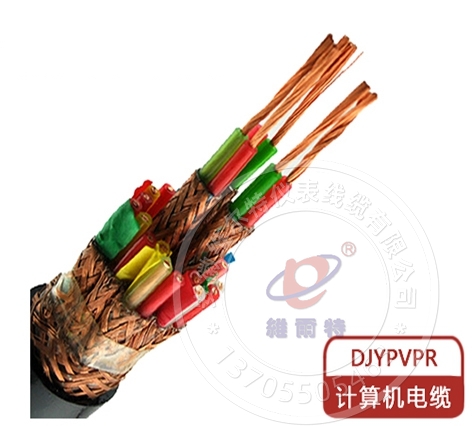 DJYPVPR计算机电缆 